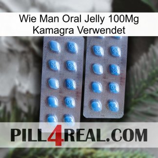 How To Use Oral Jelly 100Mg Kamagra viagra4